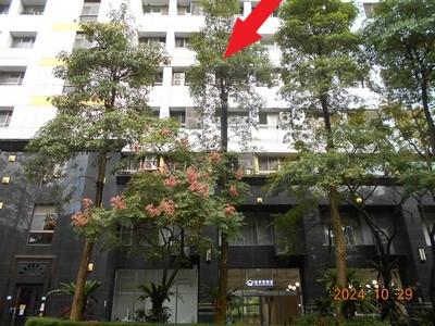 信義區拍賣大樓-2