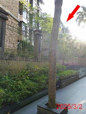 文山區拍賣別墅-4