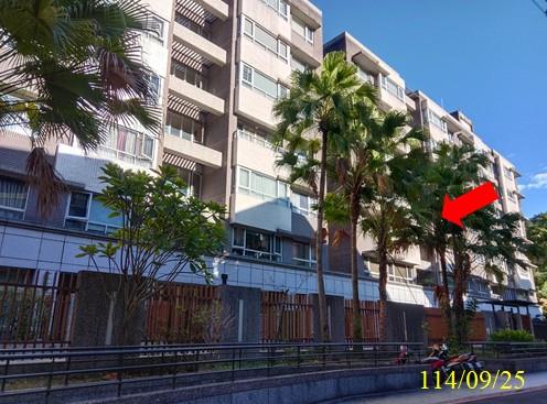 新北拍賣華廈-0