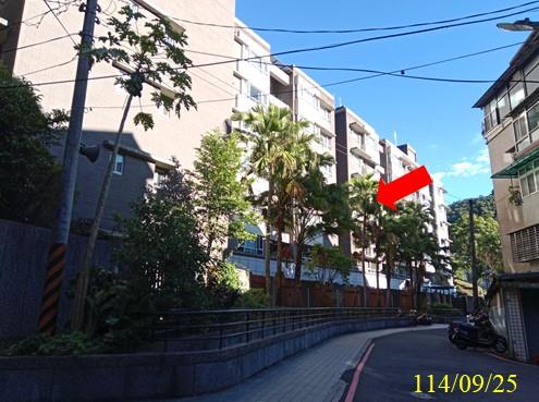 新北拍賣華廈-3