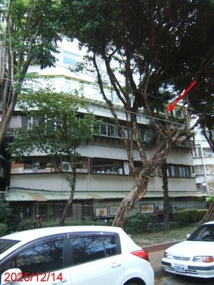 台北士林華廈法拍-1